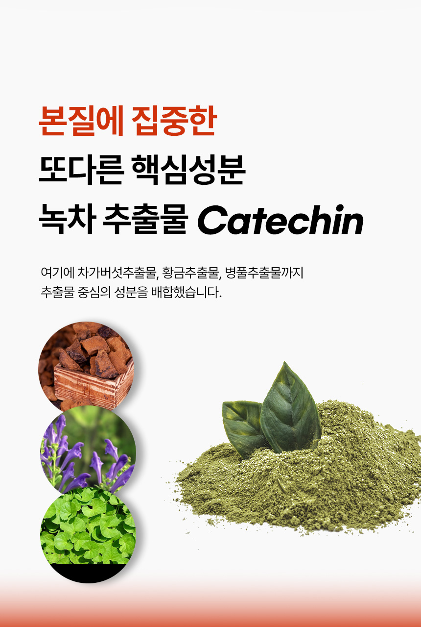 핵심 성분
